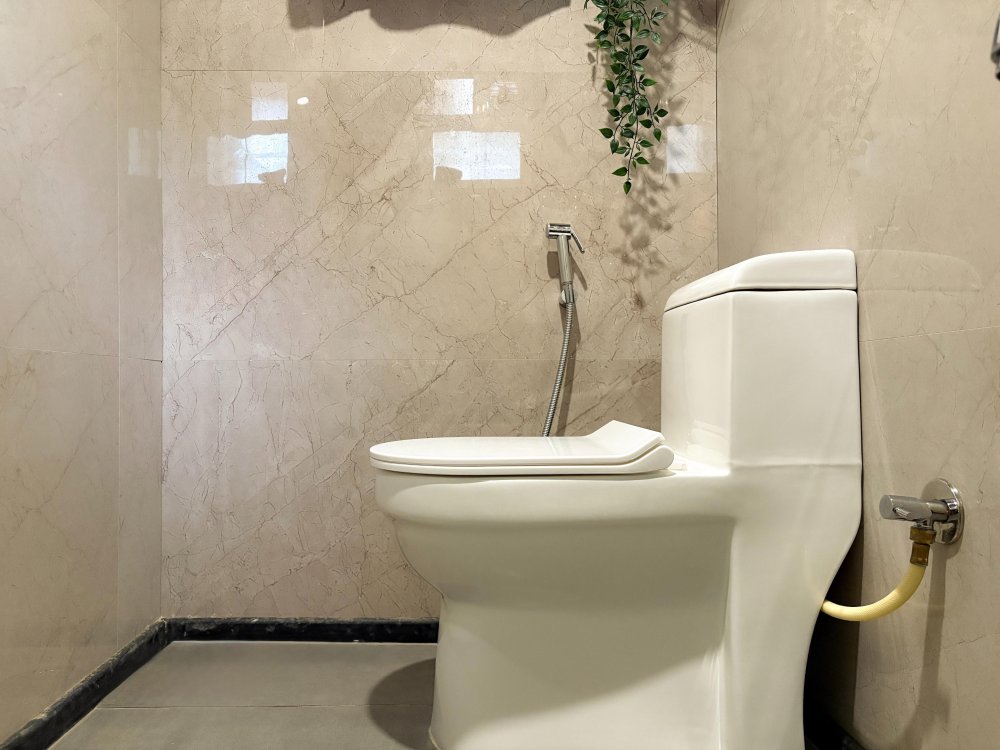 Toilet