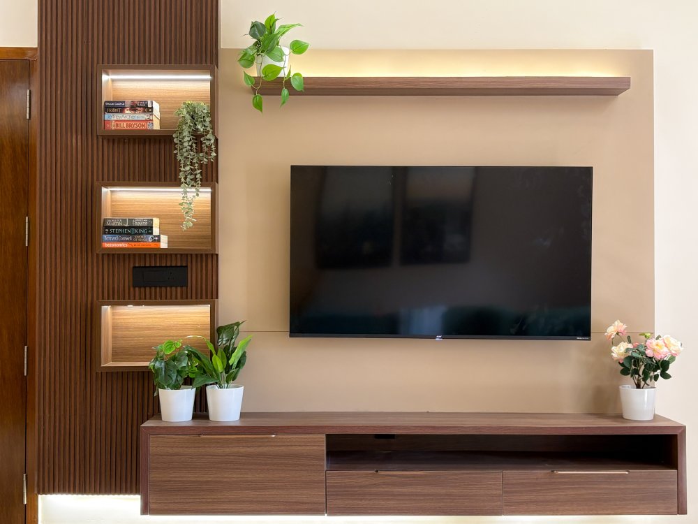 TV and multimedia